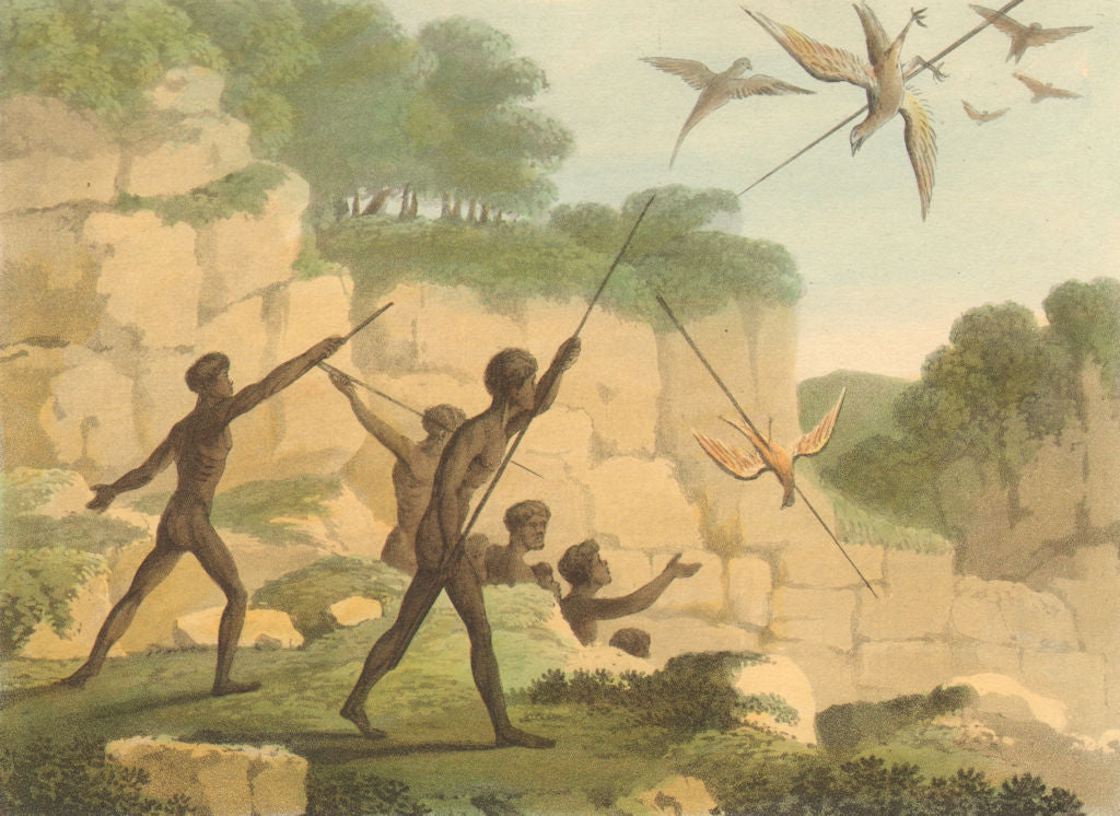 AUSTRALIA ABORIGINES. Killing birds with spears. New South Wales (Orme)  1814